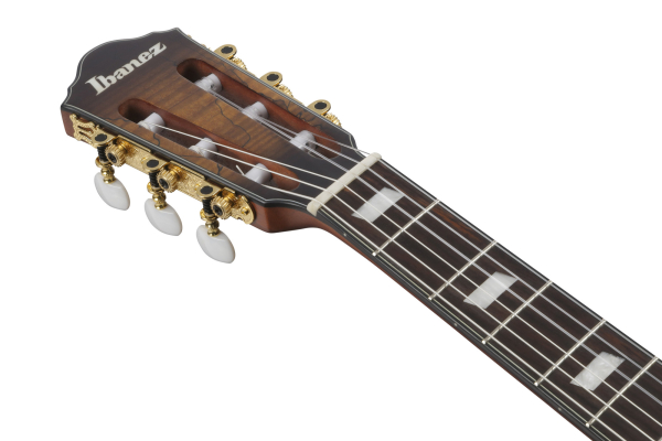 Ibanez FRH20SMN-TCL